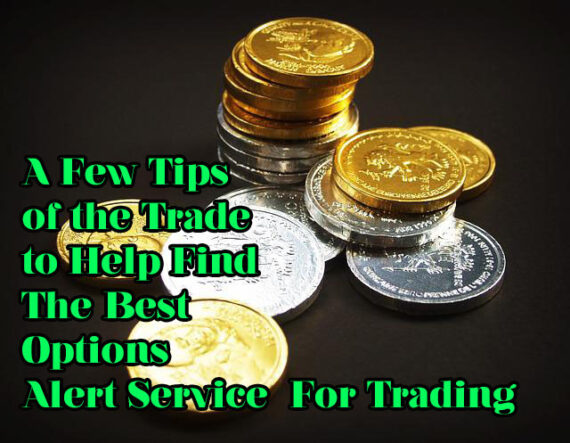 find the best options alert trade service